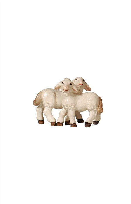 Pema Group Of Lambs