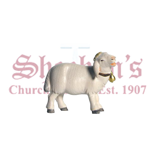 Pema Sheep Standing With Bell Look