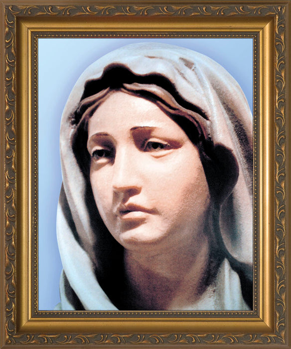 Statue of Mary Framed Art